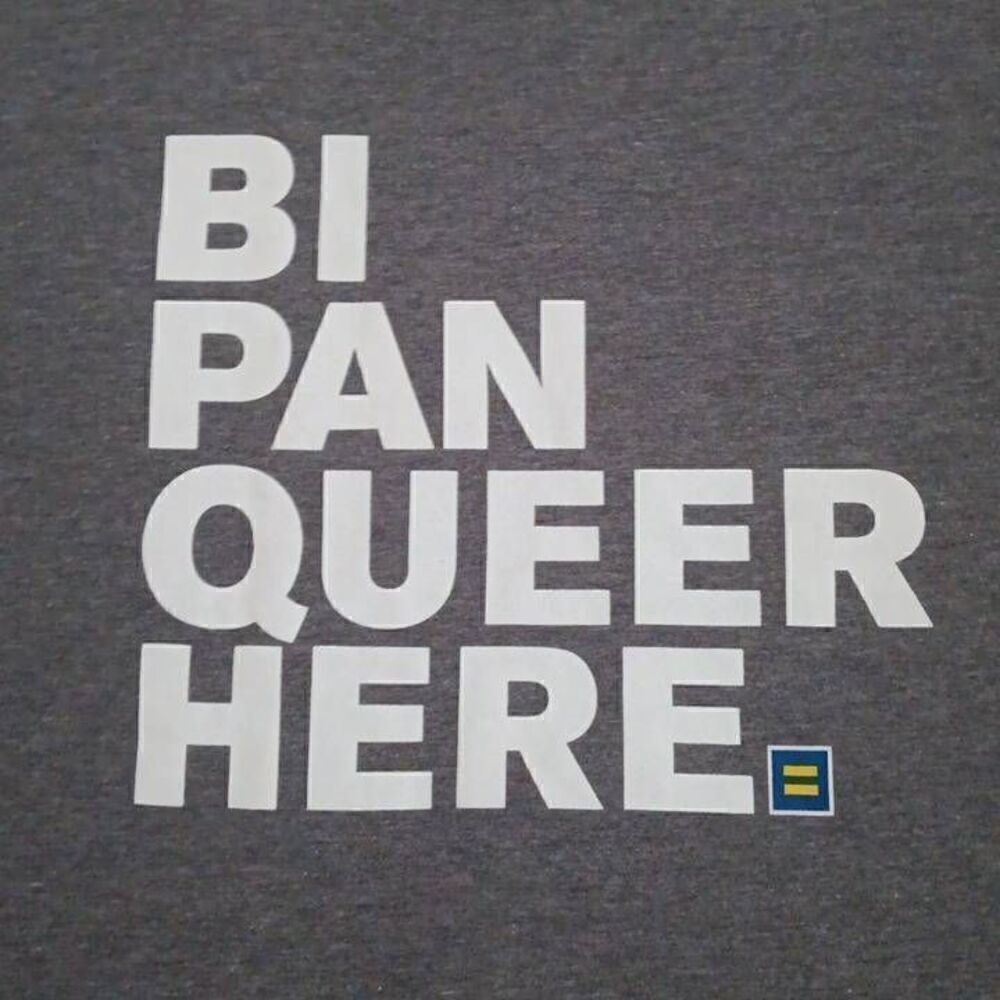 BI PAN QUEER HERE TSHIRT  Size XL Unisex  Brand: HRC.ORG Color Gray and white